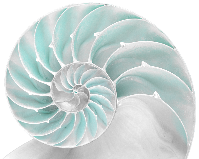 Nautilus Logo